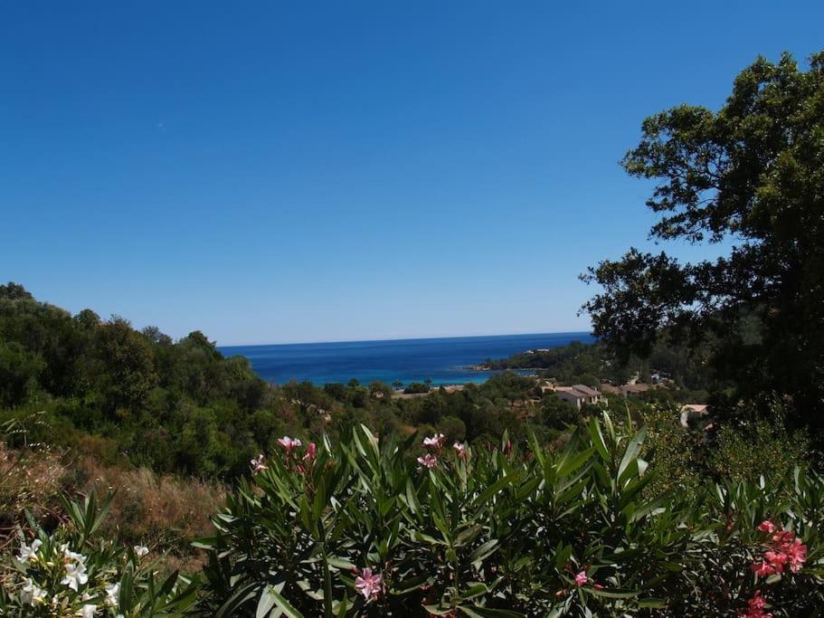 קונקה Villa Vista Mare 11 Favone מראה חיצוני תמונה